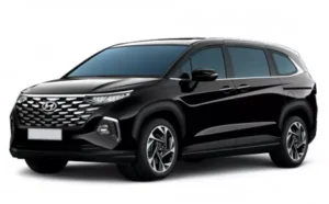 Hyundai Custin